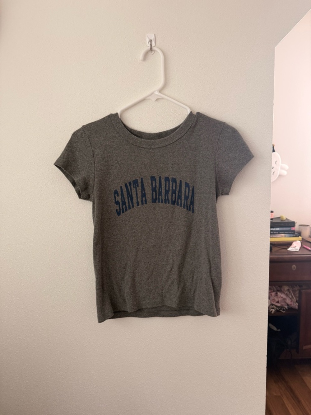 Brandy Melville Santa Barbara Graphic Tee